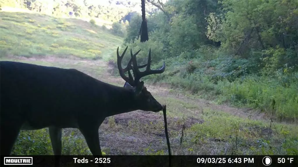 Strum, WI 54770,N45211 Franson Rd Roads