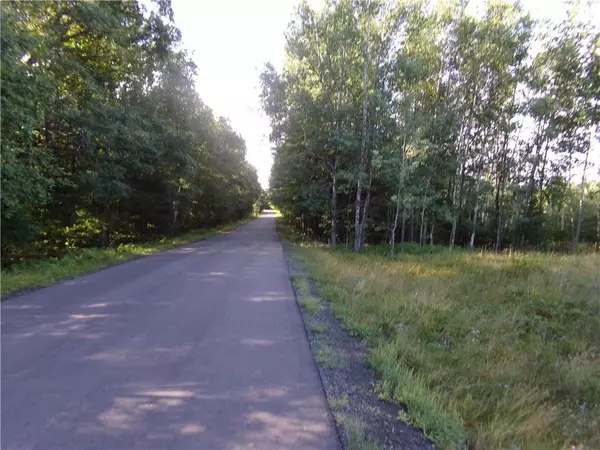 Lake Nebagamon, WI 54849,7581 S Marsik Lot 1 Road