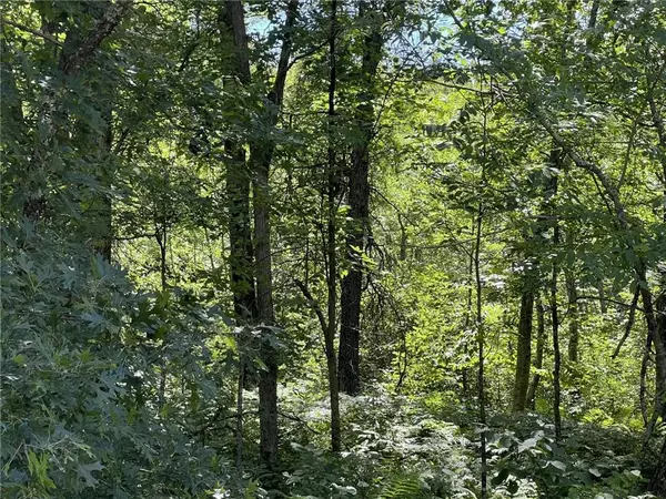 Siren, WI 54872,XXXX County Road B