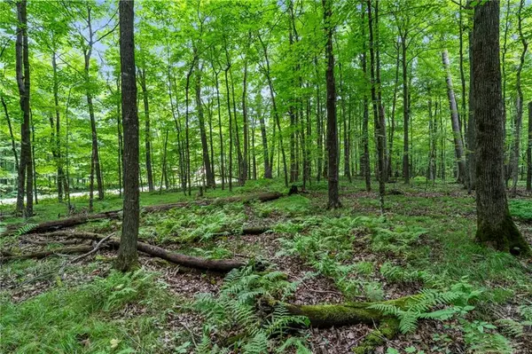 XXX 25 1/4 Avenue, Cumberland, WI 54829