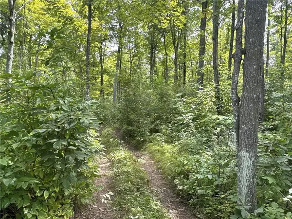 Rice Lake, WI 54868,0 E 16th Avenue