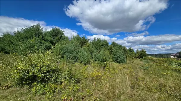 Chippewa Falls, WI 54729,Lot 1 118th St