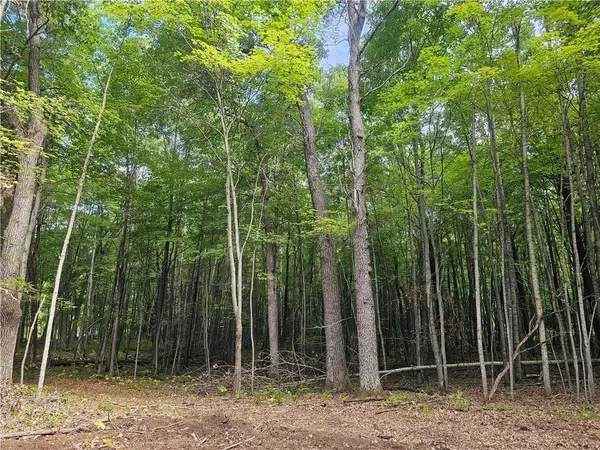 Webster, WI 54893,Lot 6 Ken Can Lane