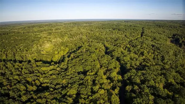 2, 351 ACRES COUNTY HWY C & COMET ROAD, Exeland, WI 54835
