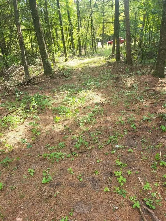 Lot 4 Betty Lane, Black River Falls, WI 54615