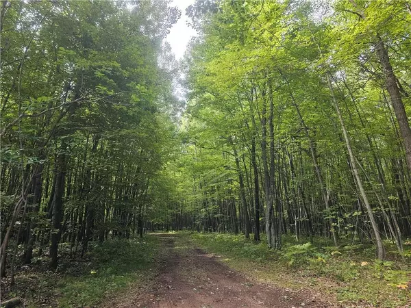 Webster, WI 54893,Lot 8 Ken Can Lane