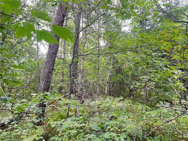 Wascott, WI 54838,Lot 1 County Road T