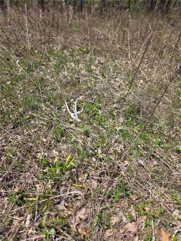 Weyerhaeuser, WI 54895,0 Old 14 Road