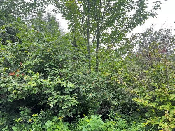 Cadott, WI 54727,Lots 20 & 21 250th Street