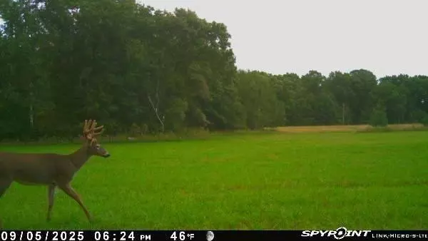 Augusta, WI 54722,E21504 Karow Road