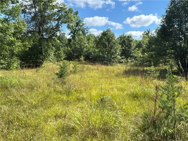 Danbury, WI 54830,TBD Hayden Lake Road