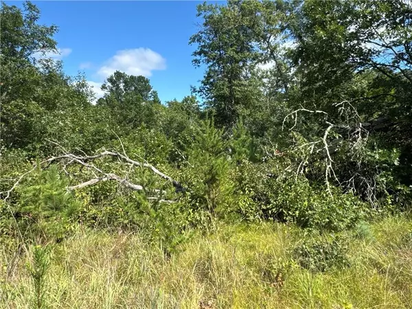 Danbury, WI 54830,TBD Hayden Lake Road