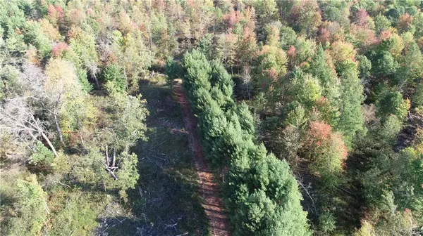 Grantsburg, WI 54840,00000 Logging Creek Road