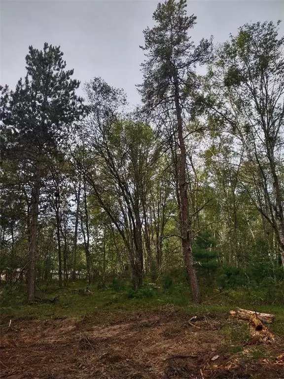 Barnes, WI 54837,TBD Lynx Road