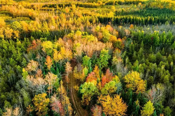 Wittenberg, WI 54499,000 Padre