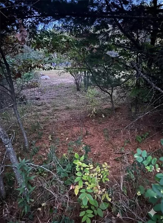 Webster, WI 54893,XXX Oak Street