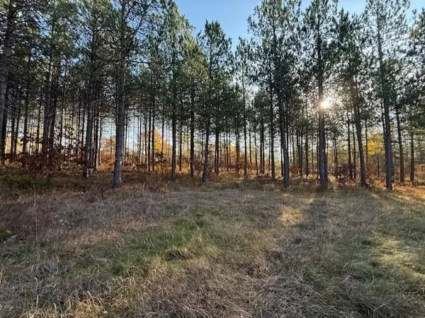 Solon Springs, WI 54873,0 Cheney Lake Road