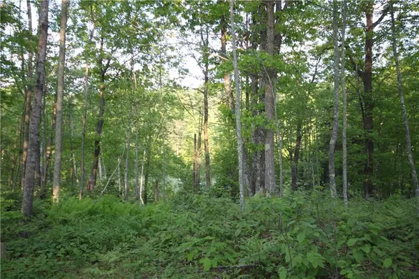 Springbrook, WI 54875,Lot  2 Timber Wolf Drive