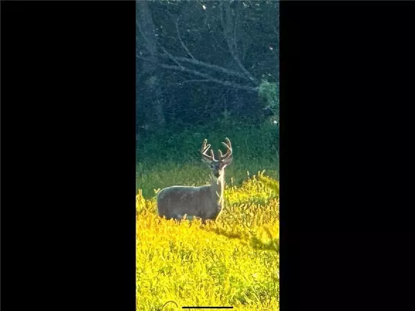 Arkansaw, WI 54721,N3953 Bear Pen Road