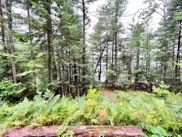 Hayward, WI 54843,9102 County Road E