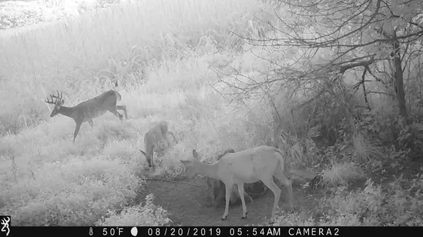 Whitehall, WI 54773,W17180 Herman Rd