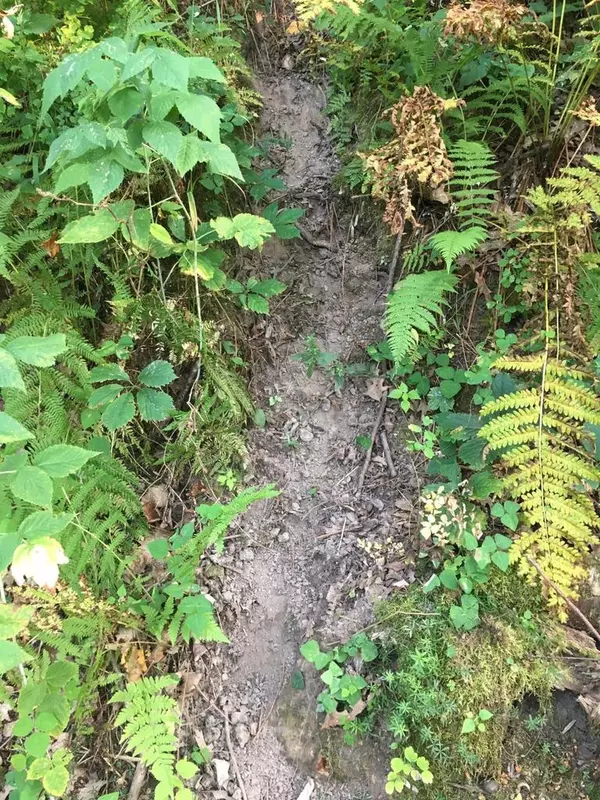 West Salem, WI 54669,xx Sweden Coulee Rd