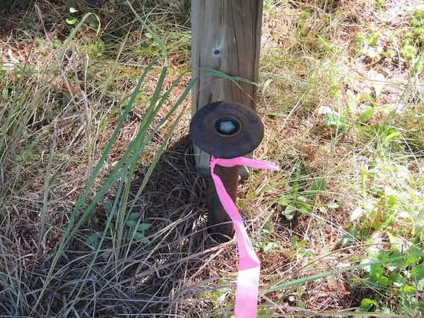 Merrillan, WI 54754,00 Doe LN