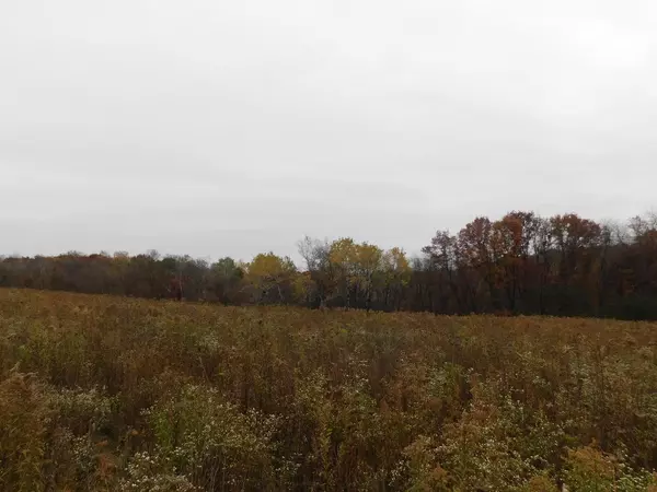 Rockland, WI 54653,27856 MAINSTREAM ROAD