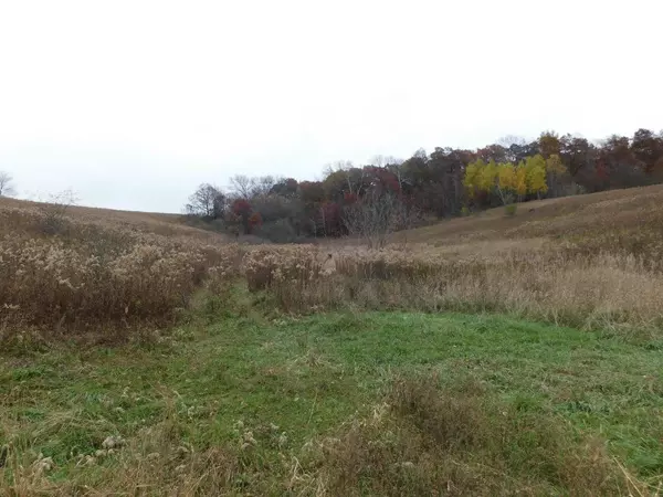 Rockland, WI 54653,27856 MAINSTREAM ROAD