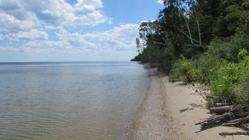 Newton, WI 53063,Lt8 SEAGULL ROAD