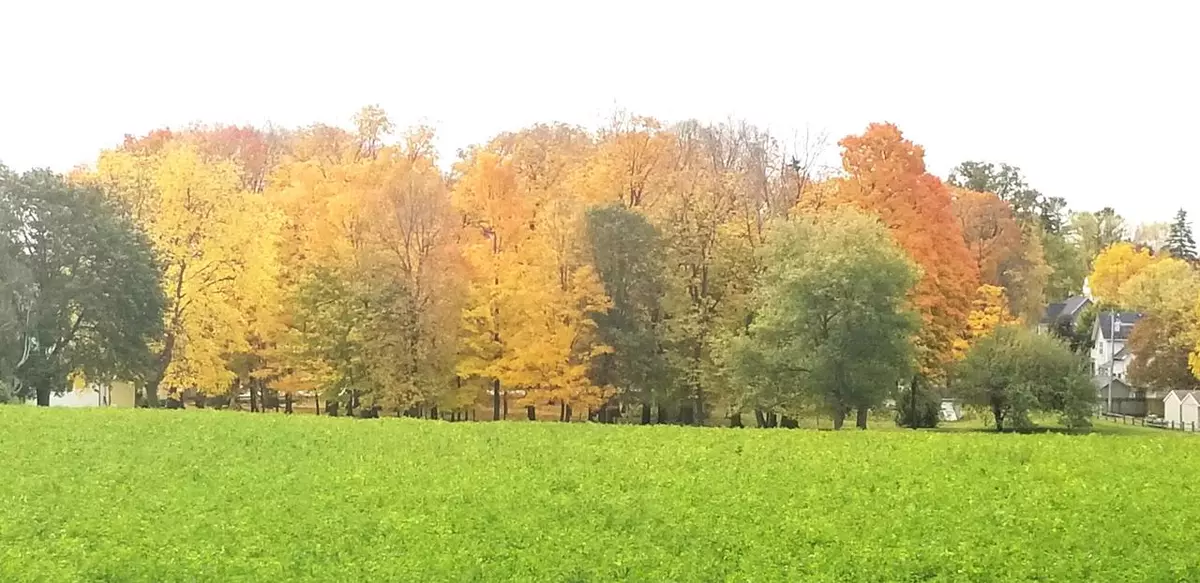 Campbellsport, WI 53010,Lt1 SHEBOYGAN STREET