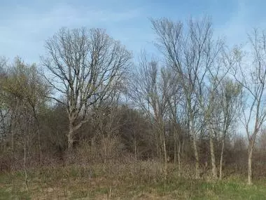 Lt2 County Road A, Delavan, WI 53115