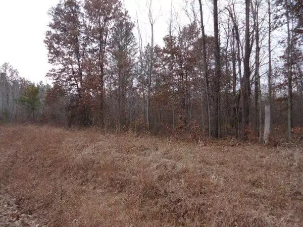 Lt0 8th Ave, Hancock, WI 54943