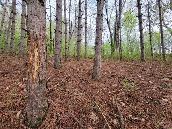 Arcadia, WI 54612,0 FLO GER LANE