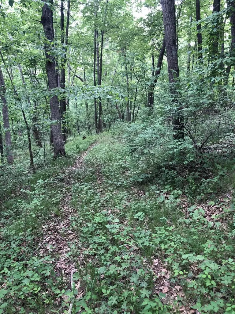 Coon Valley, WI 54623,Lot0 CHARLIES LANE