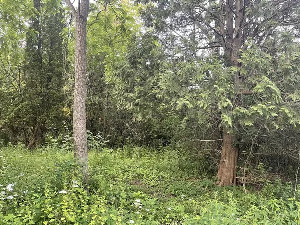 River Hills, WI 53217,8728 N Spruce ROAD