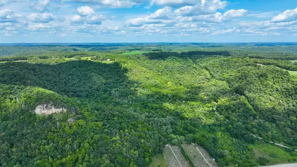 0 MARKEY BLUFF ROAD, Nelson, WI 54756