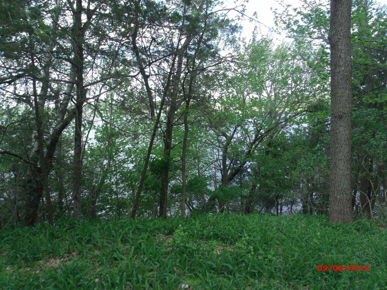 Montello, WI 53949,.57 Ac Water Street