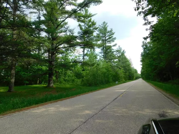 Suring, WI 54174,W606 JOE JOHNSON ROAD