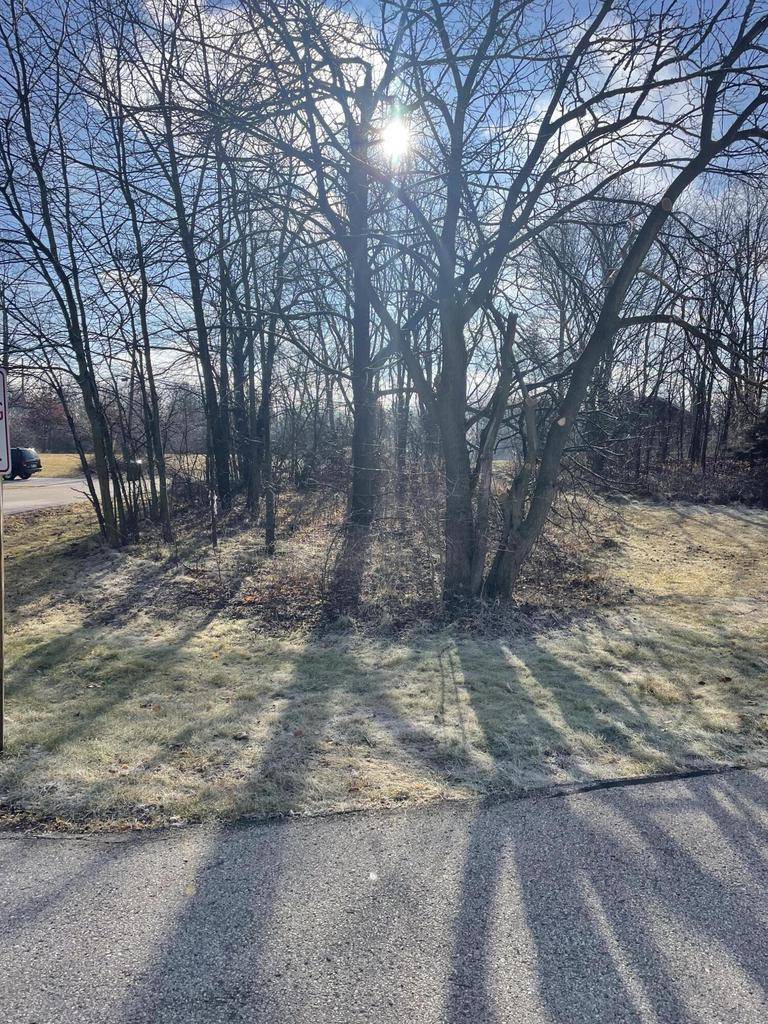 Genoa City, WI 53128,Lt1 91ST STREET
