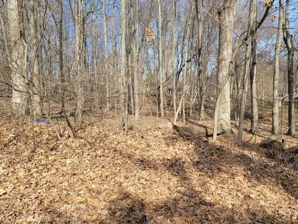 Lt14 GRACE STREET, Merrimac, WI 53561