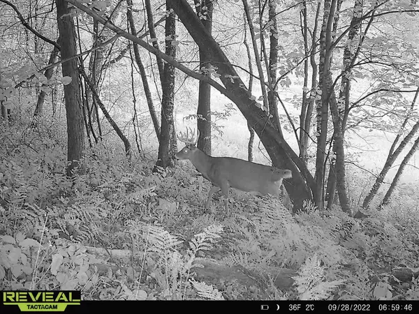 Arcadia, WI 54612,0 GEORGE LANE