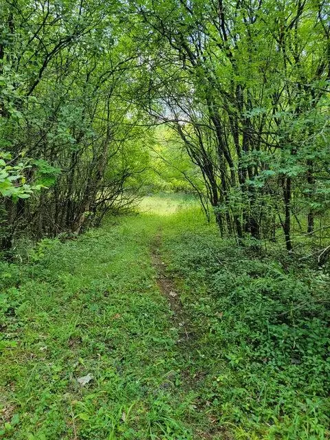 Oconomowoc, WI 53066,L16,17,18 ROAD L