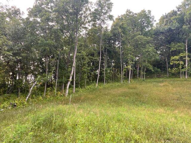 Onalaska, WI 54650,Lt 53 MADISON HEIGHTS DRIVE