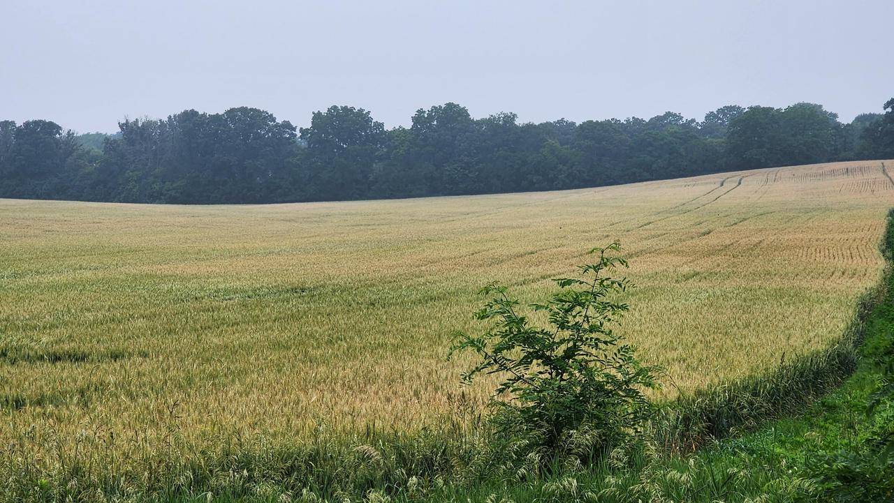 Lt3 BEULAH ROAD, Mukwonago, WI 53149