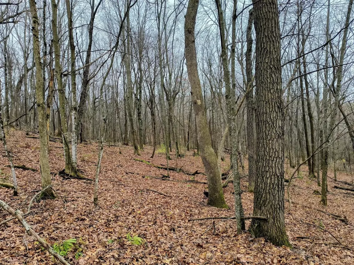 Cashton, WI 54619,0 COUNTY HIGHWAY X