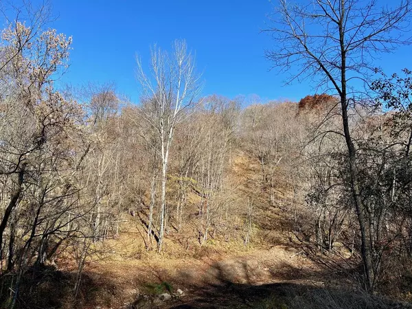 00 COUNTY RD P, Ontario, WI 54651