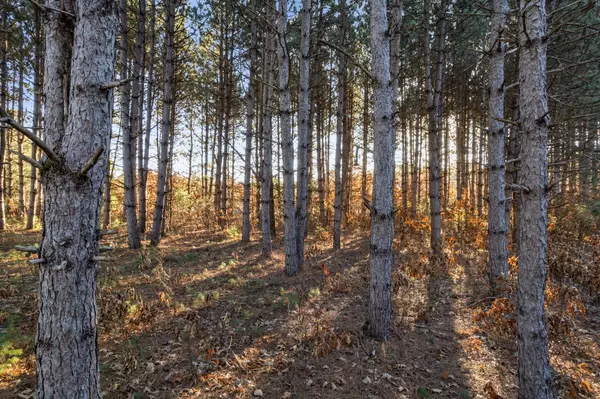 Melrose, WI 54642,W2739 Albertson ROAD