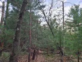 Lyndon Station, WI 53944,2 ac 21st Avenue