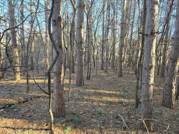 Holmen, WI 54636,N6983 ELIZABETH DR